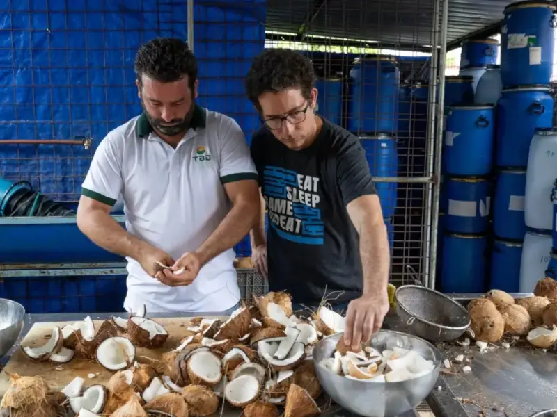 Customize Your New AI