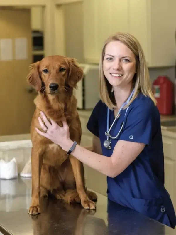 Sloane AI demonstration for veterinary practices