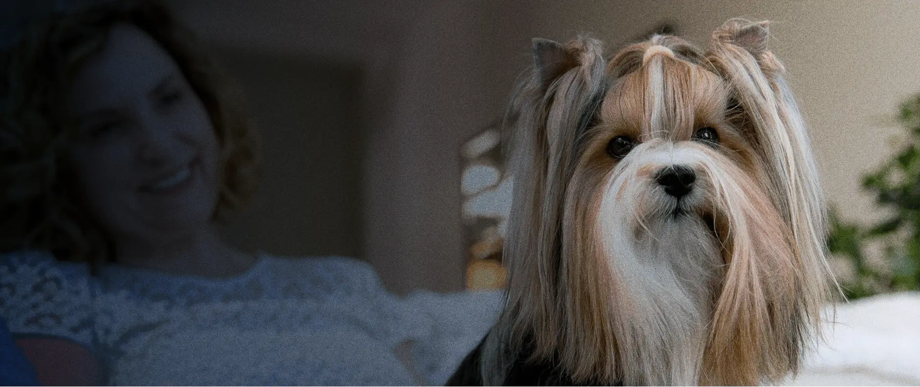 Sloane AI Receptionist for pet grooming and pet spas